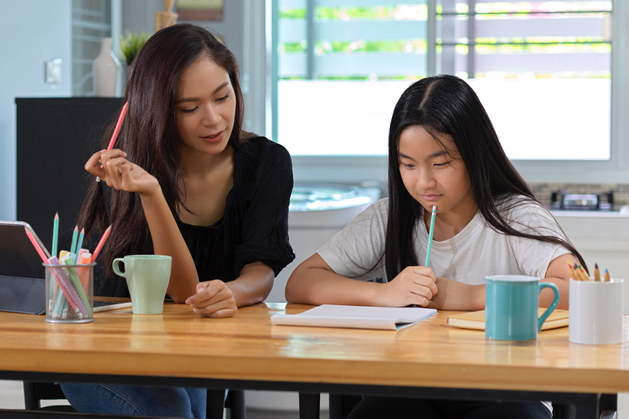 student and tutor together at a desk in White Plains